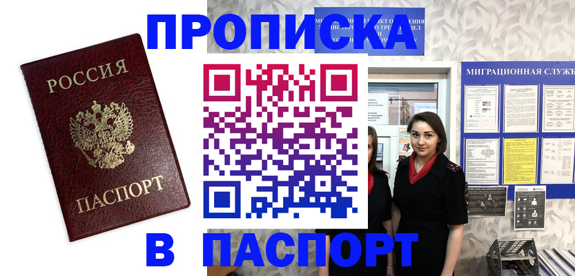 прописка 2025 в Мурино